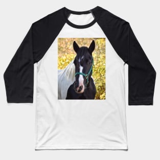 Drum horse Baseball T-Shirt